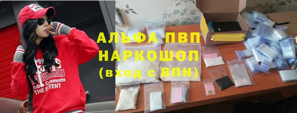 индика Заводоуковск