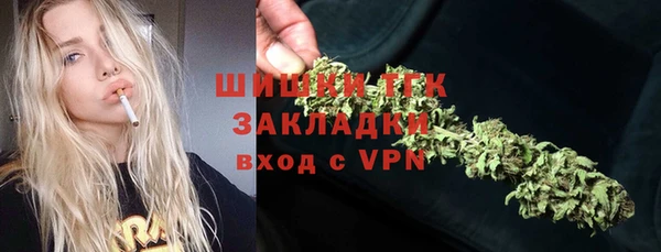 индика Заводоуковск
