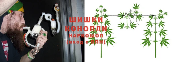 индика Заводоуковск