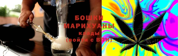 индика Заводоуковск