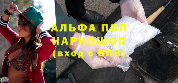 индика Заводоуковск