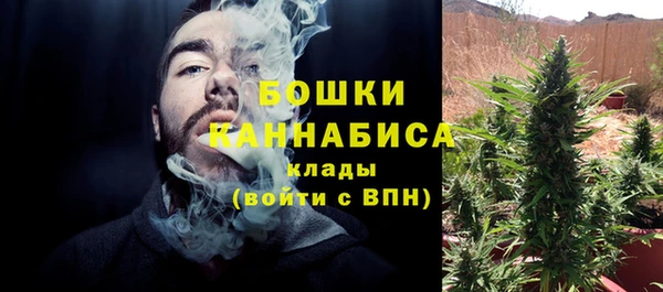 индика Заводоуковск