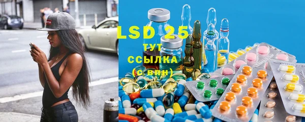 индика Заводоуковск