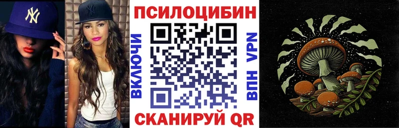 купить наркотик  Ипатово  площадка клад  Псилоцибиновые грибы ЛСД 