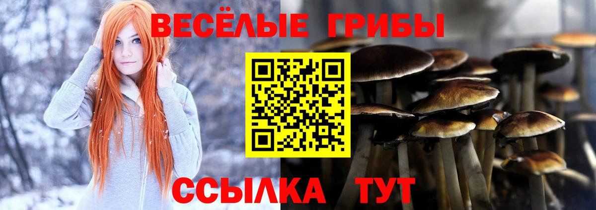 Галлюциногенные грибы мухоморы  наркотики  Ипатово  Вход с VPN  Псилоцибиновые грибы ЛСД 